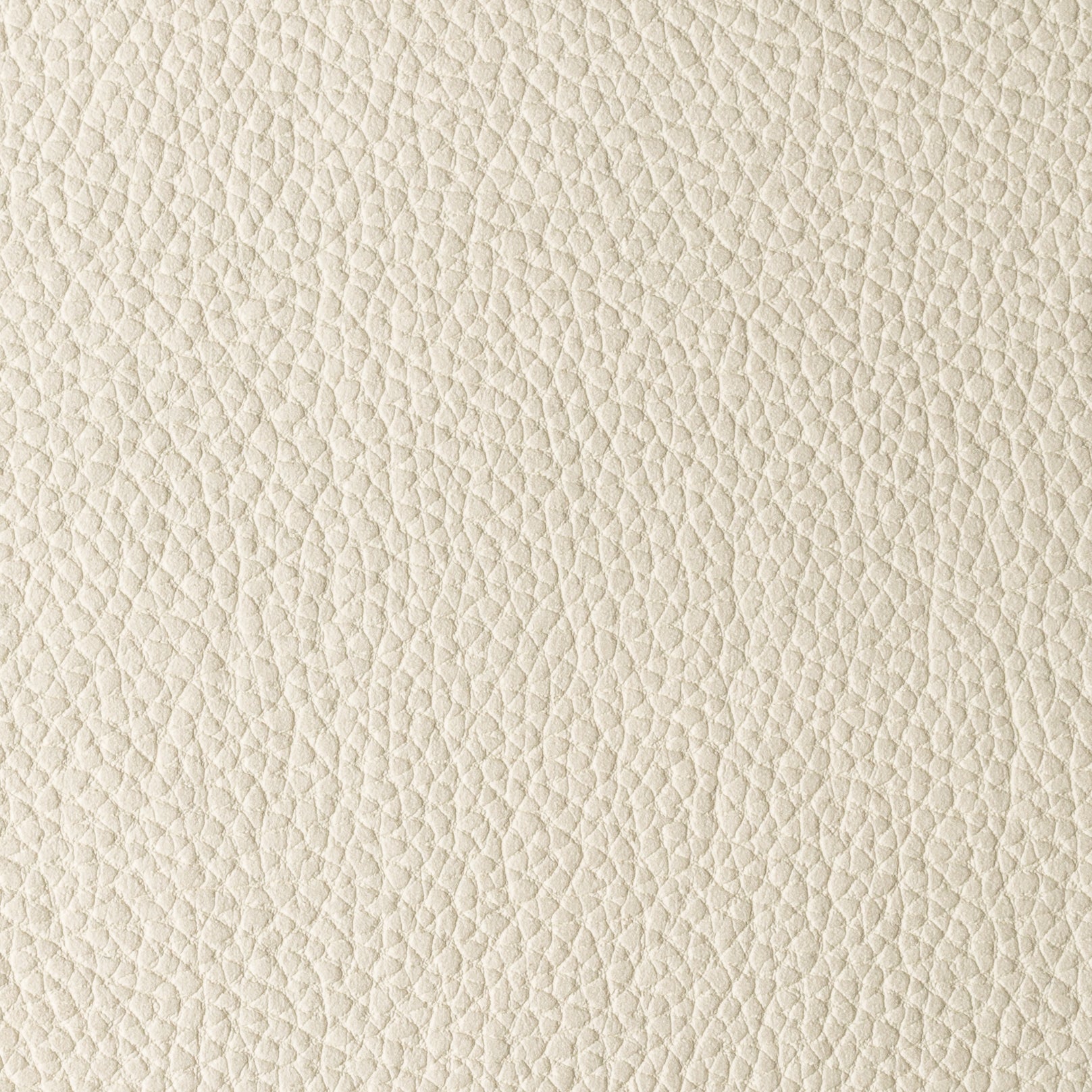 PACIFICO CREAM