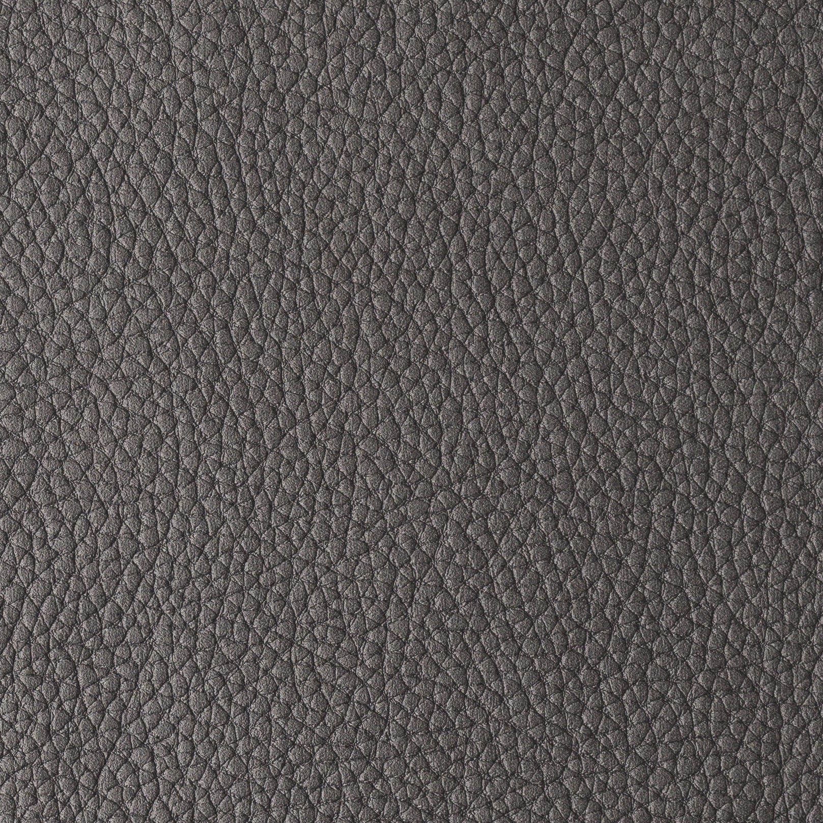 PACIFICO DARKGREY
