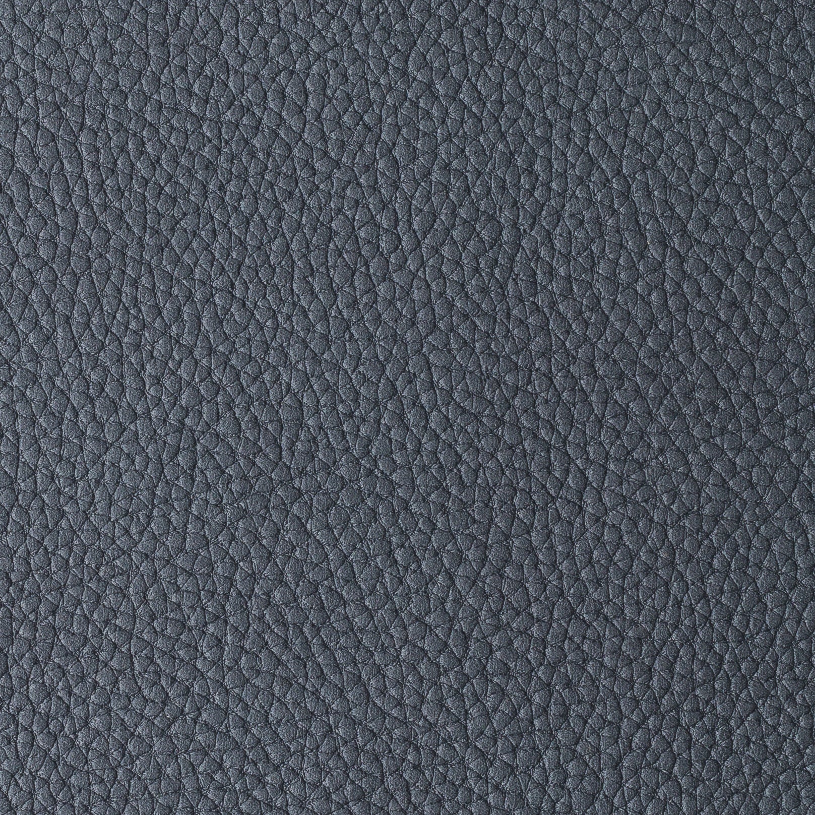 PACIFICO OCEAN