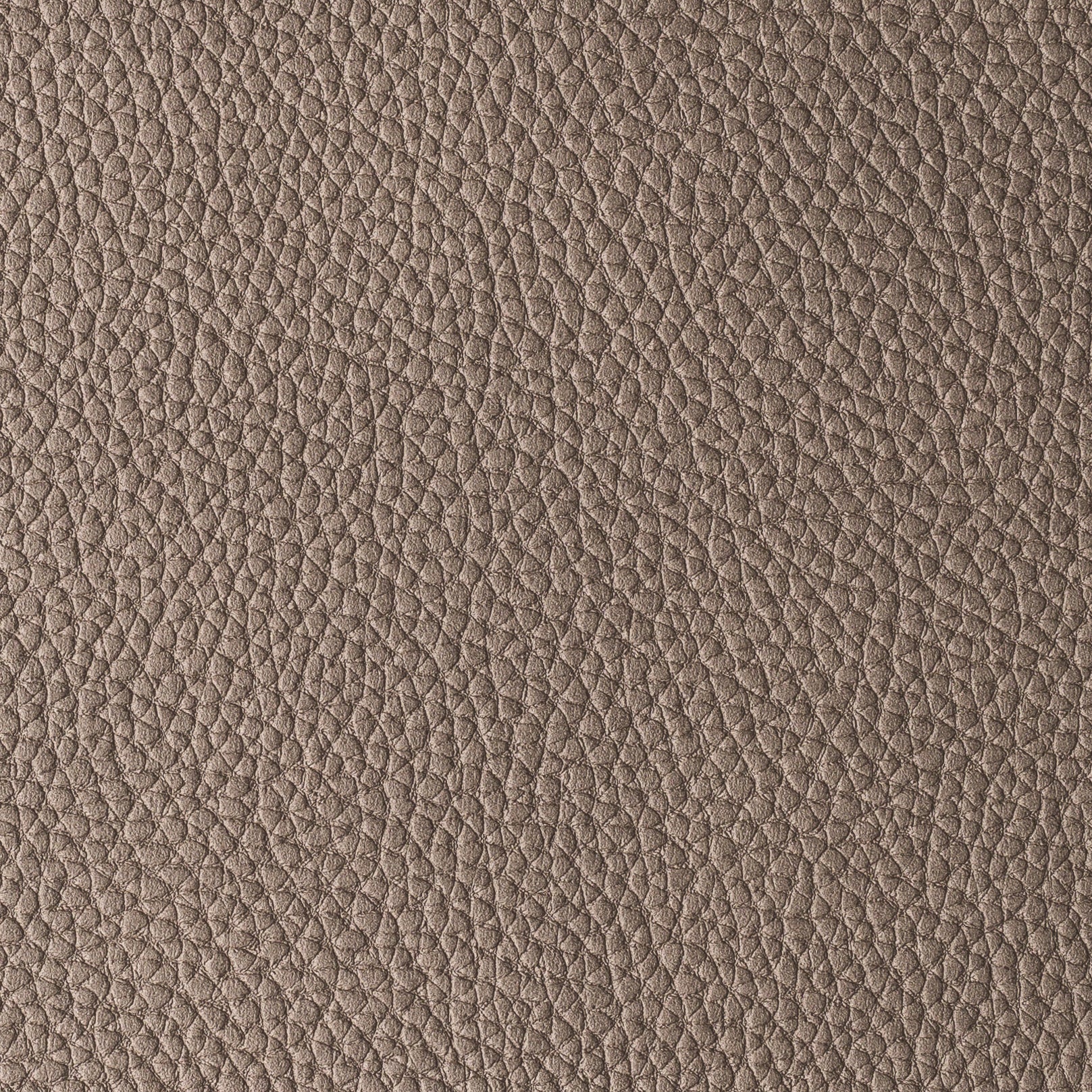 PACIFICO TAUPE