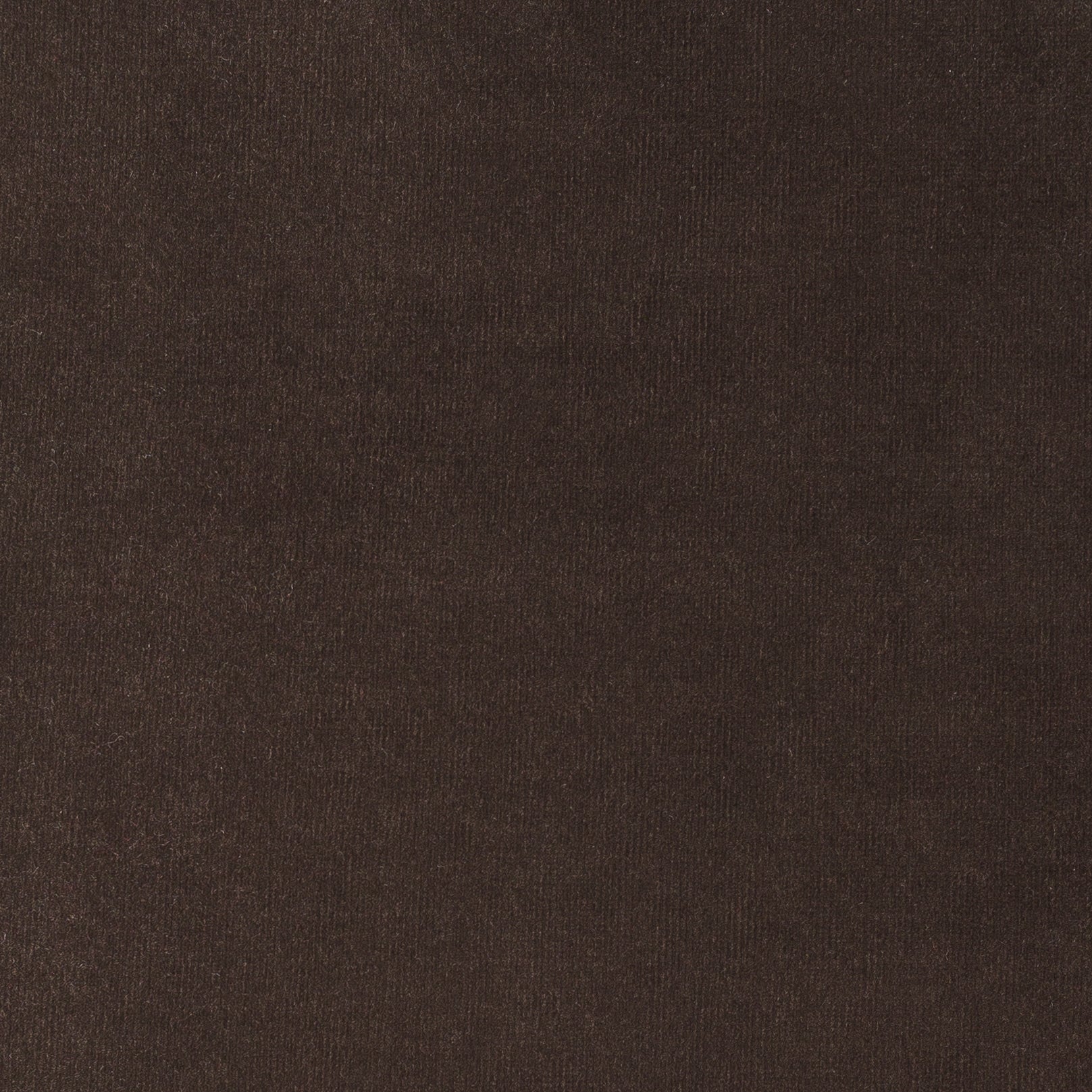 PARIS EBONY