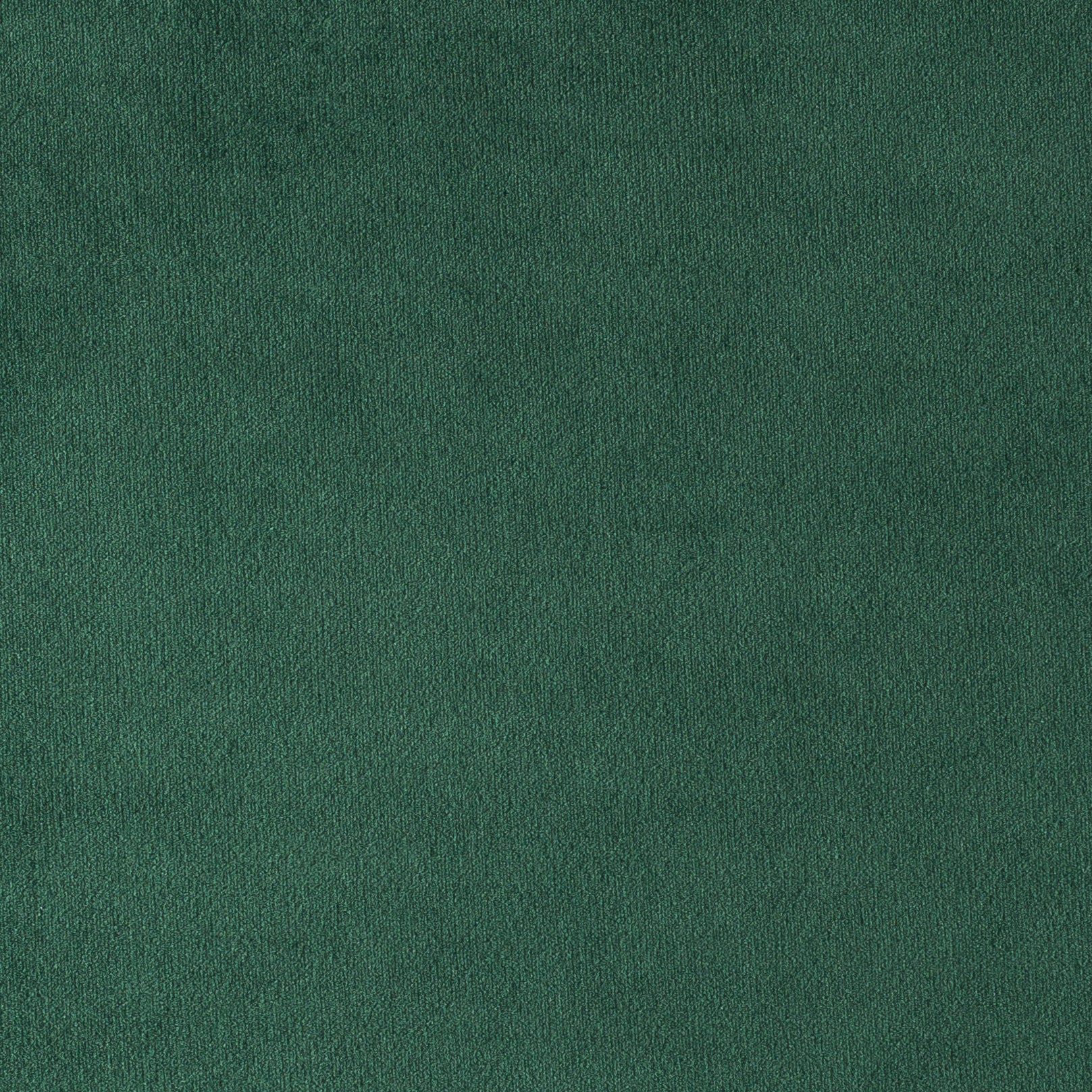 PARIS GREEN
