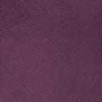 PARIS PURPLE