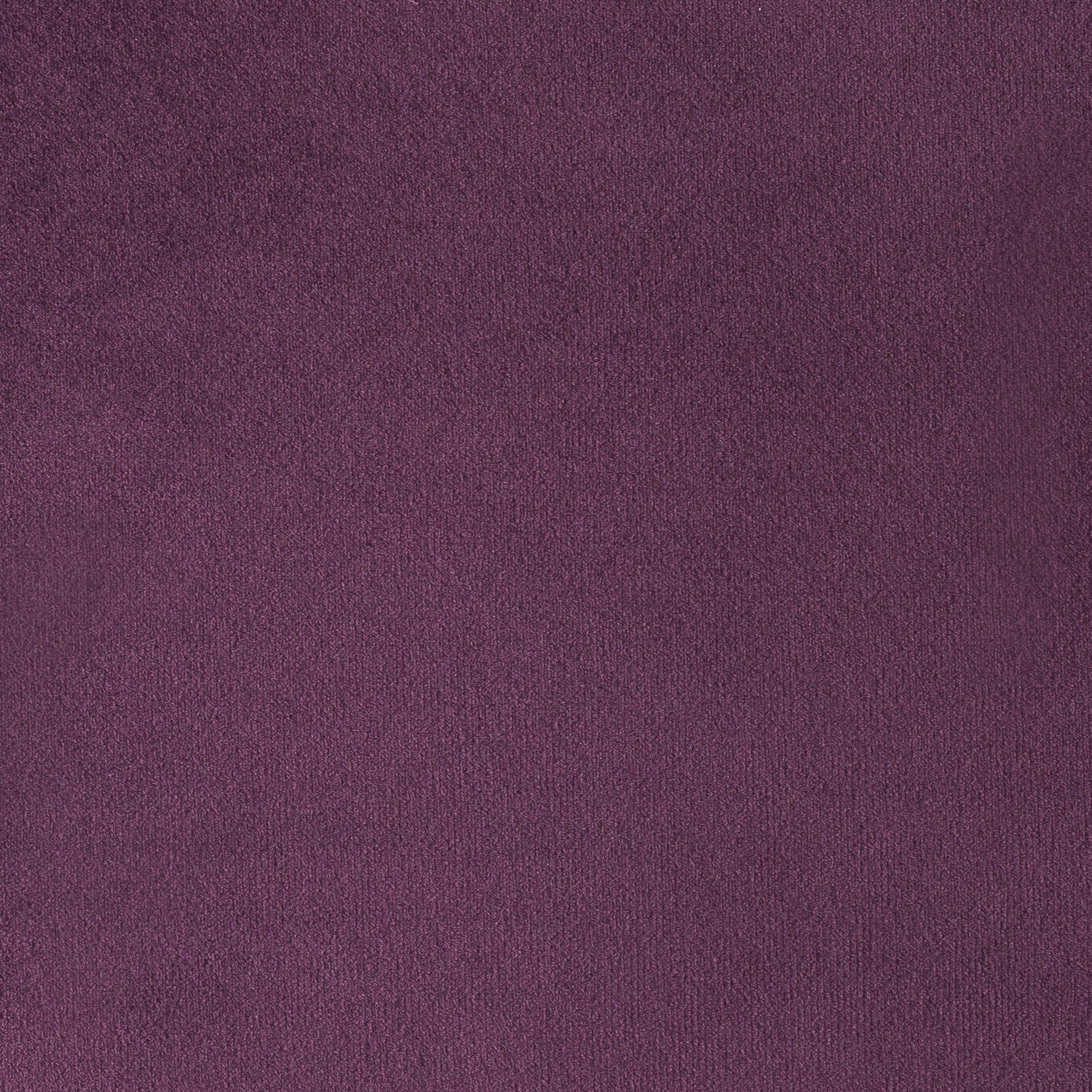 PARIS PURPLE