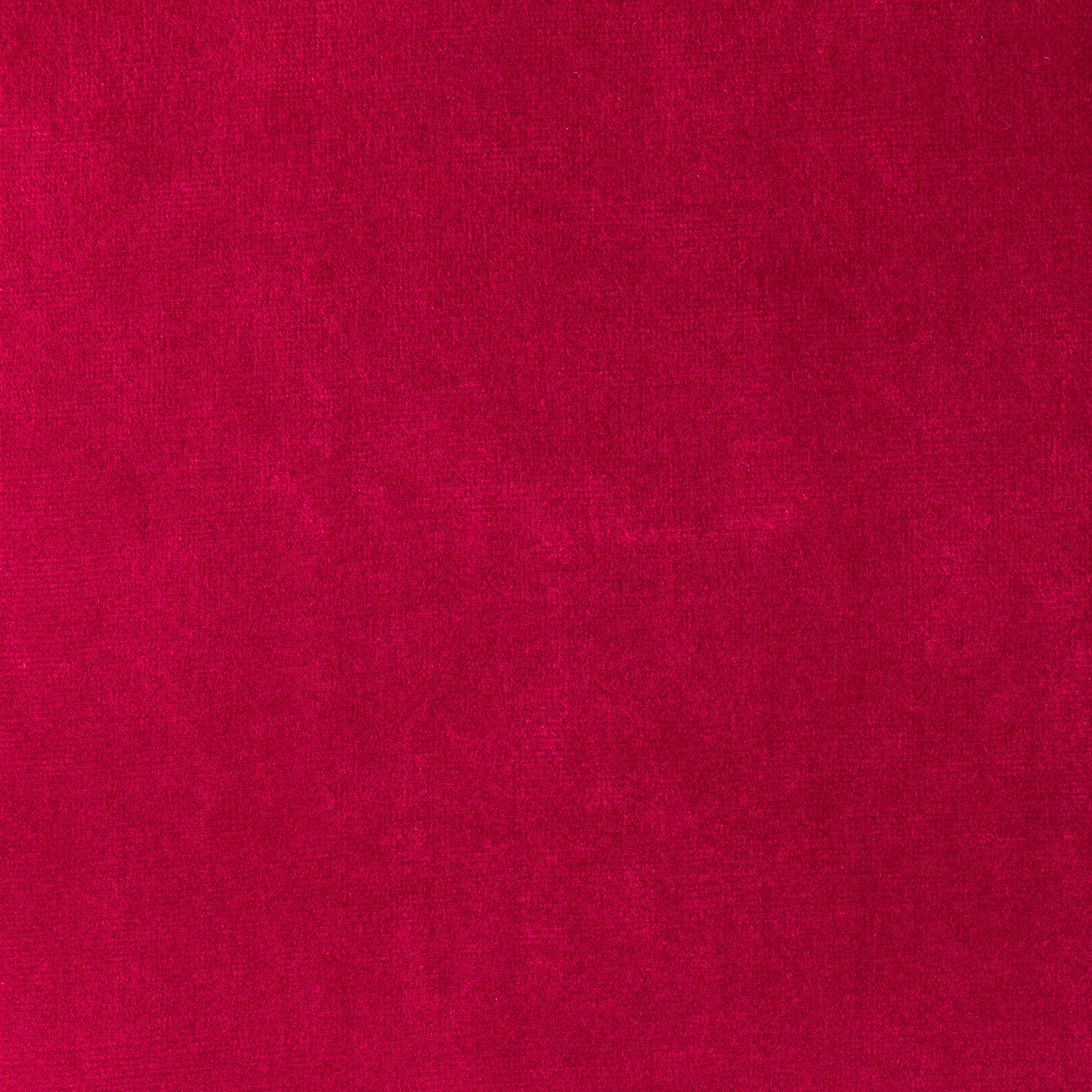 PARIS REDROSE