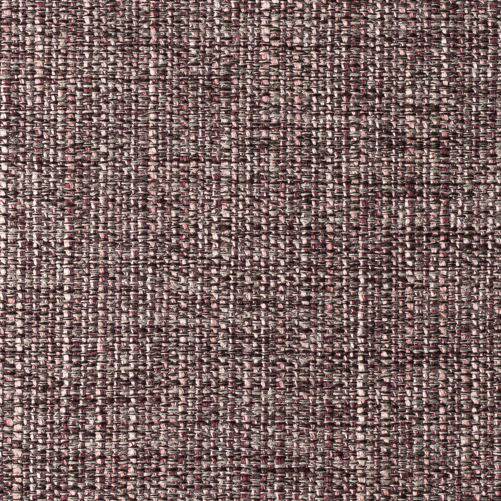 AUBERGINE