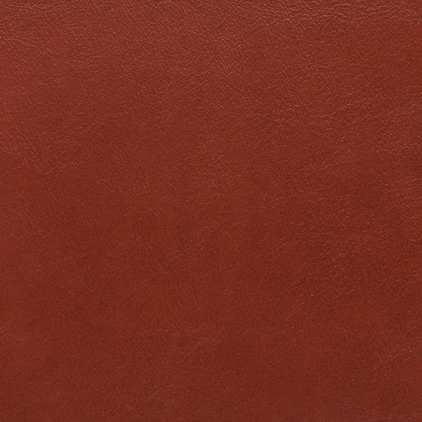 PRIME COLLECTION Secondary image