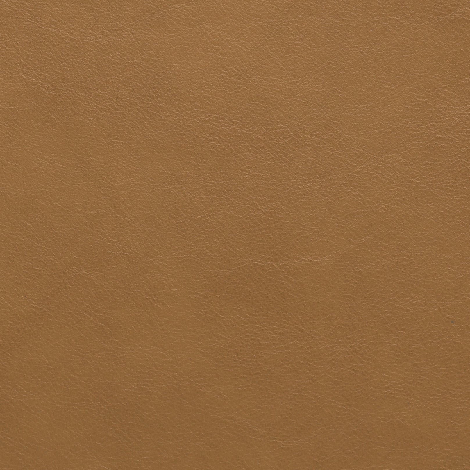 PRIME COLLECTION Main image