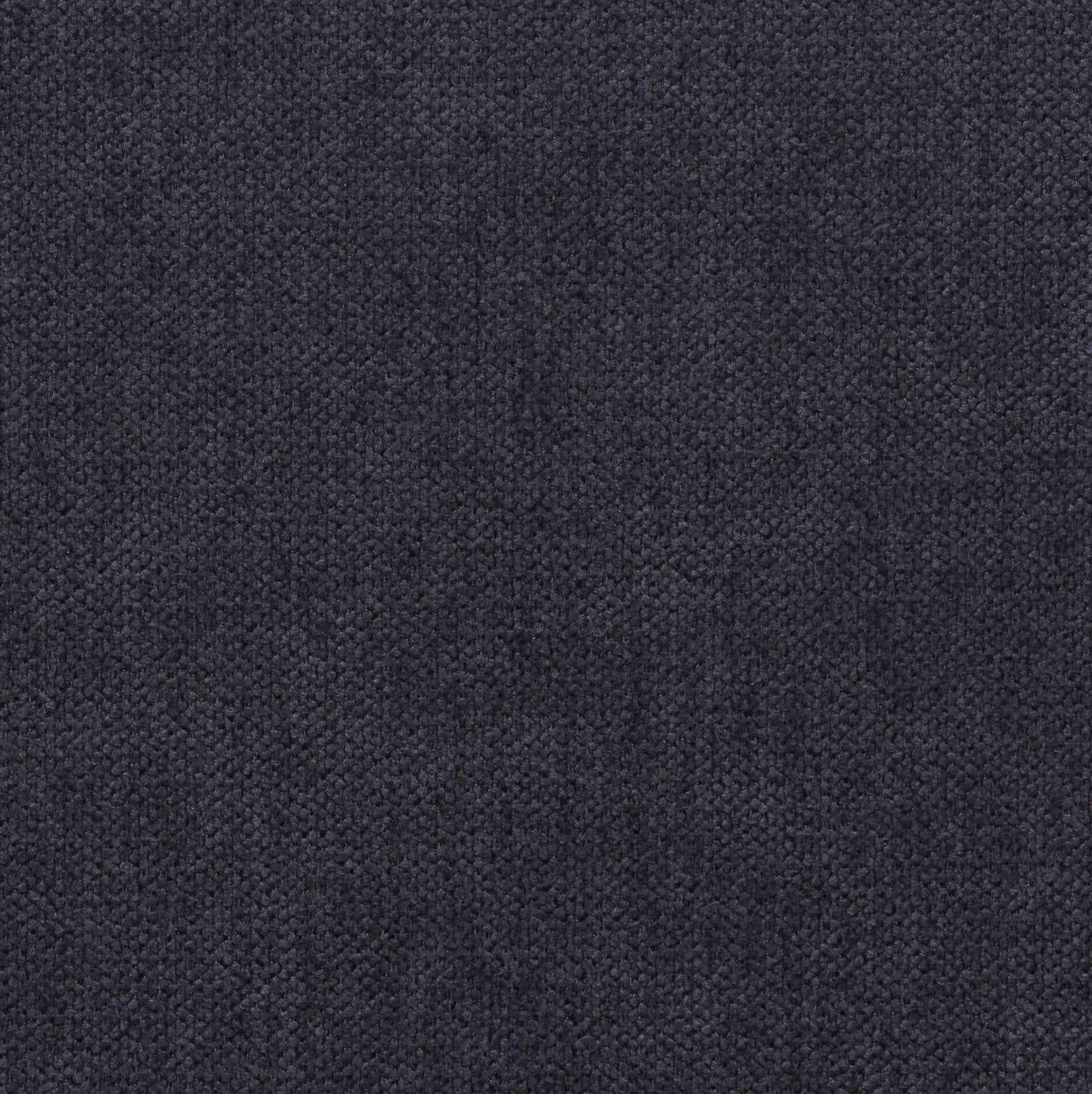 PRINCE DARKGREY