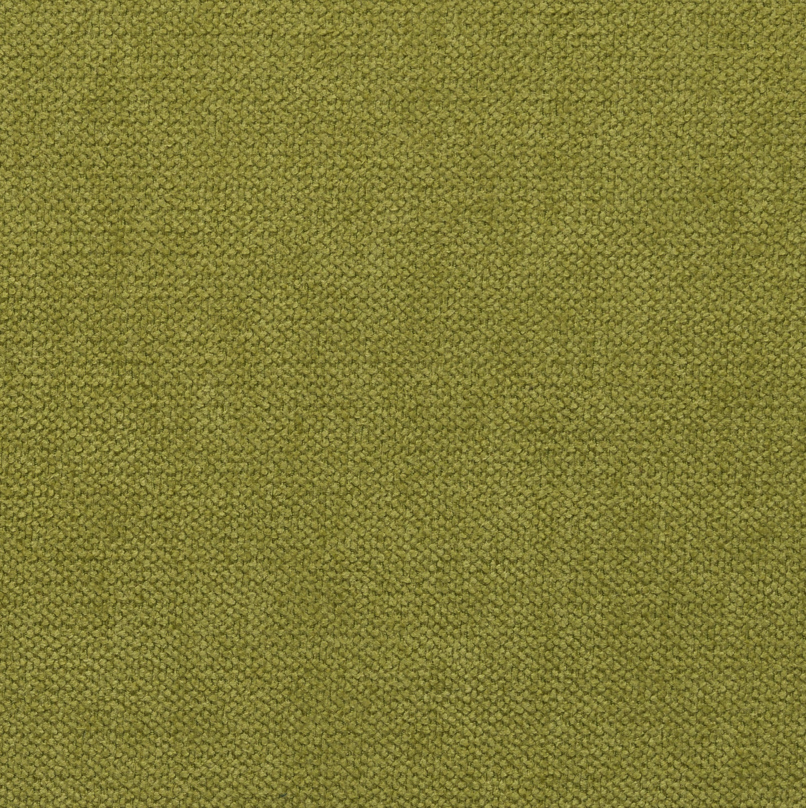 PRINCE GREEN