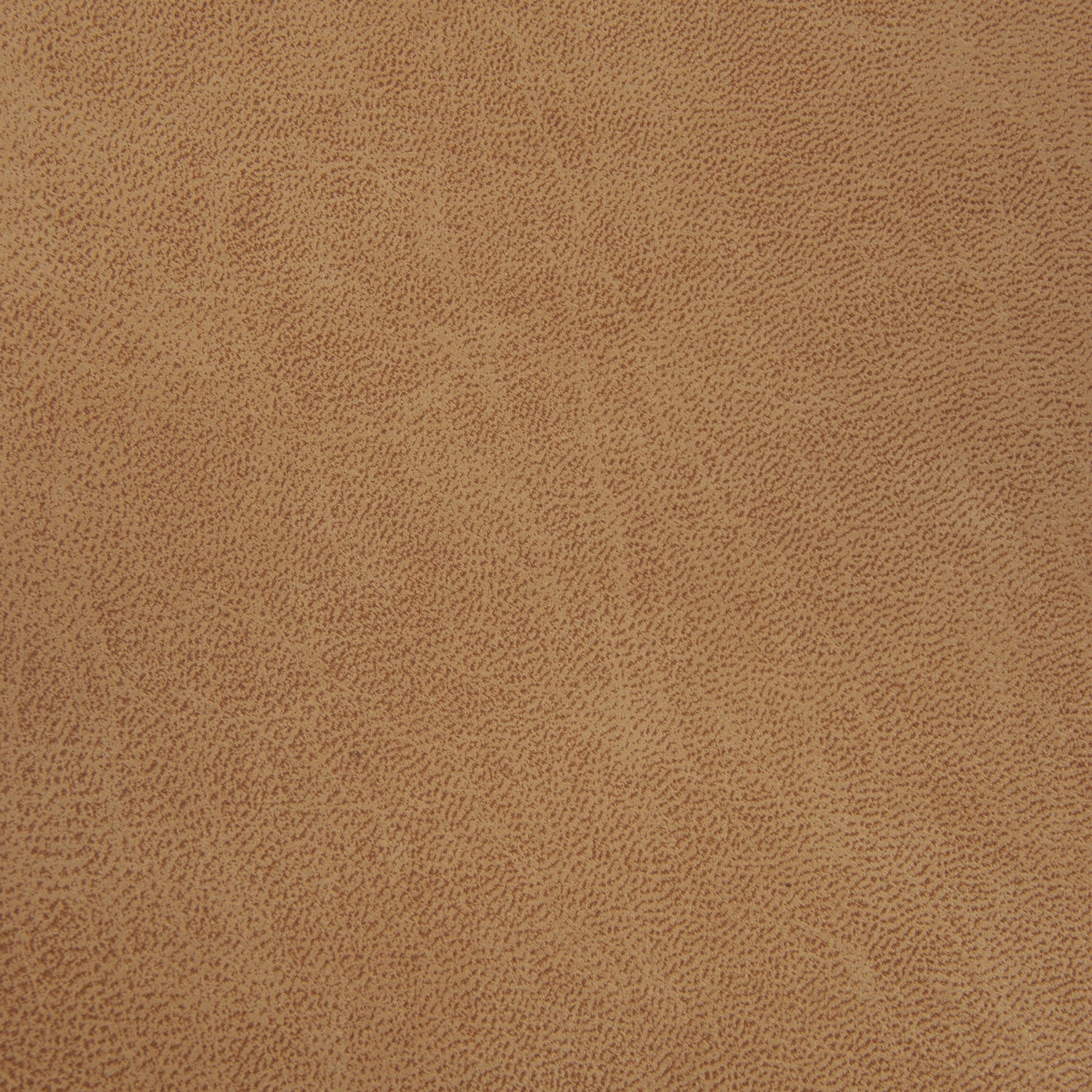 RODEO COLLECTION Main image