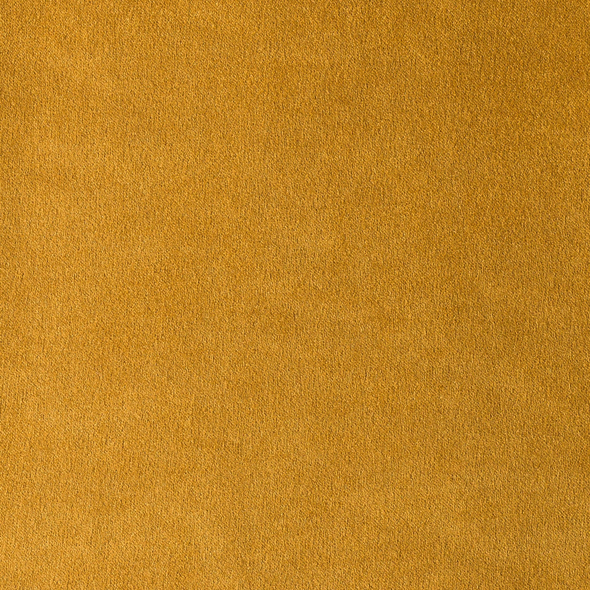 ROYAL SUEDE COLLECTION