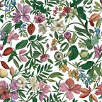 ROSALIA COLLECTION