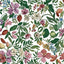 ROSALIA COLLECTION