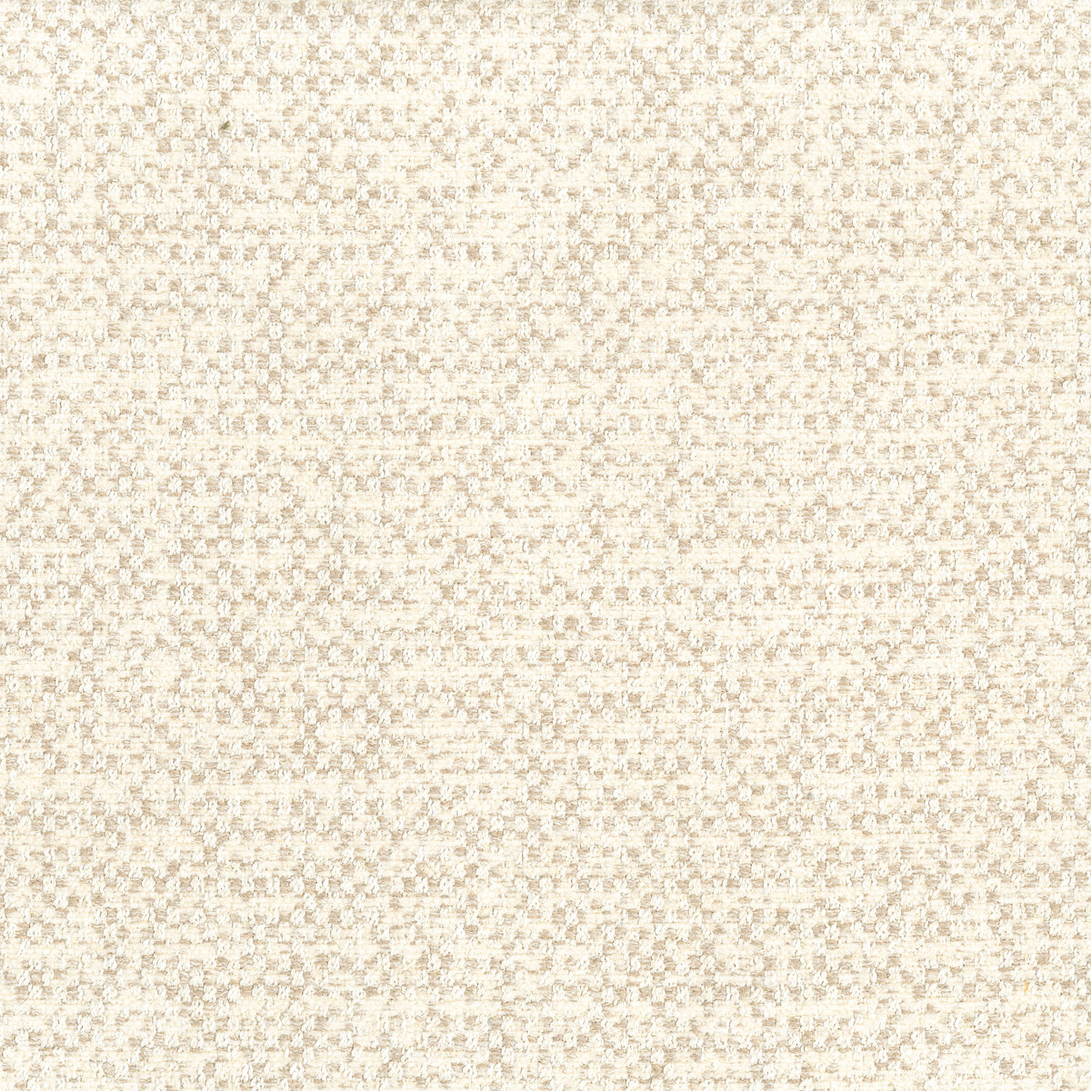 SALERNO COLLECTION