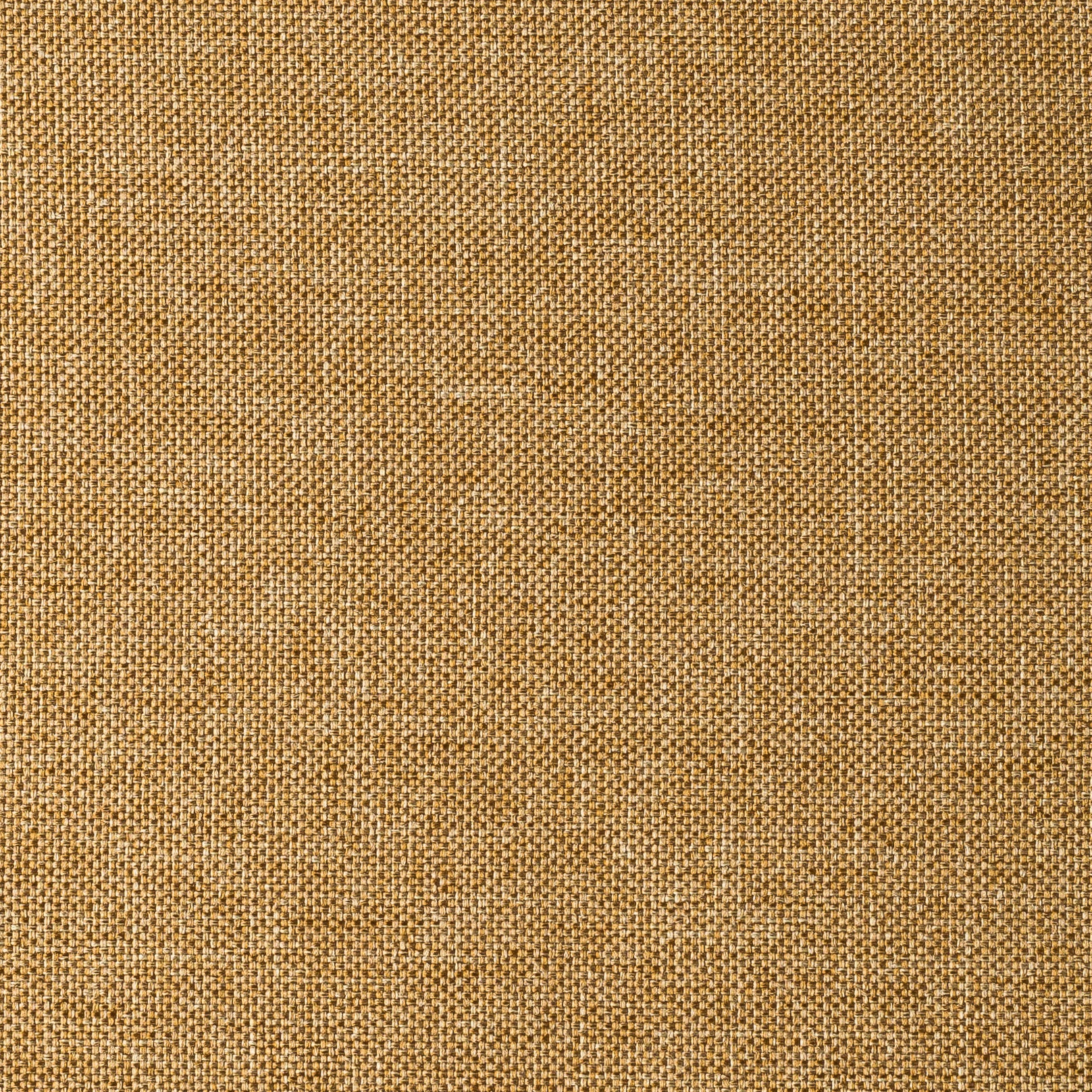 SAVANA COLLECTION