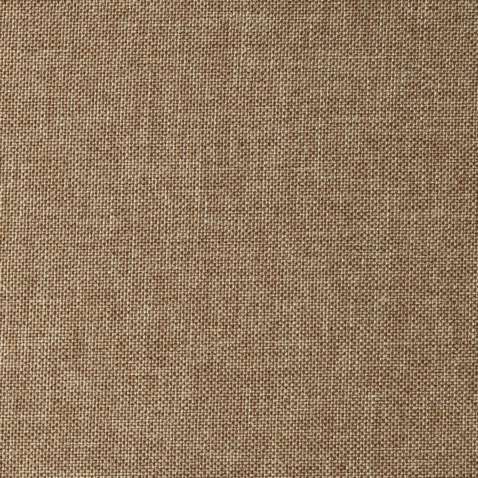 SAVANA COLLECTION