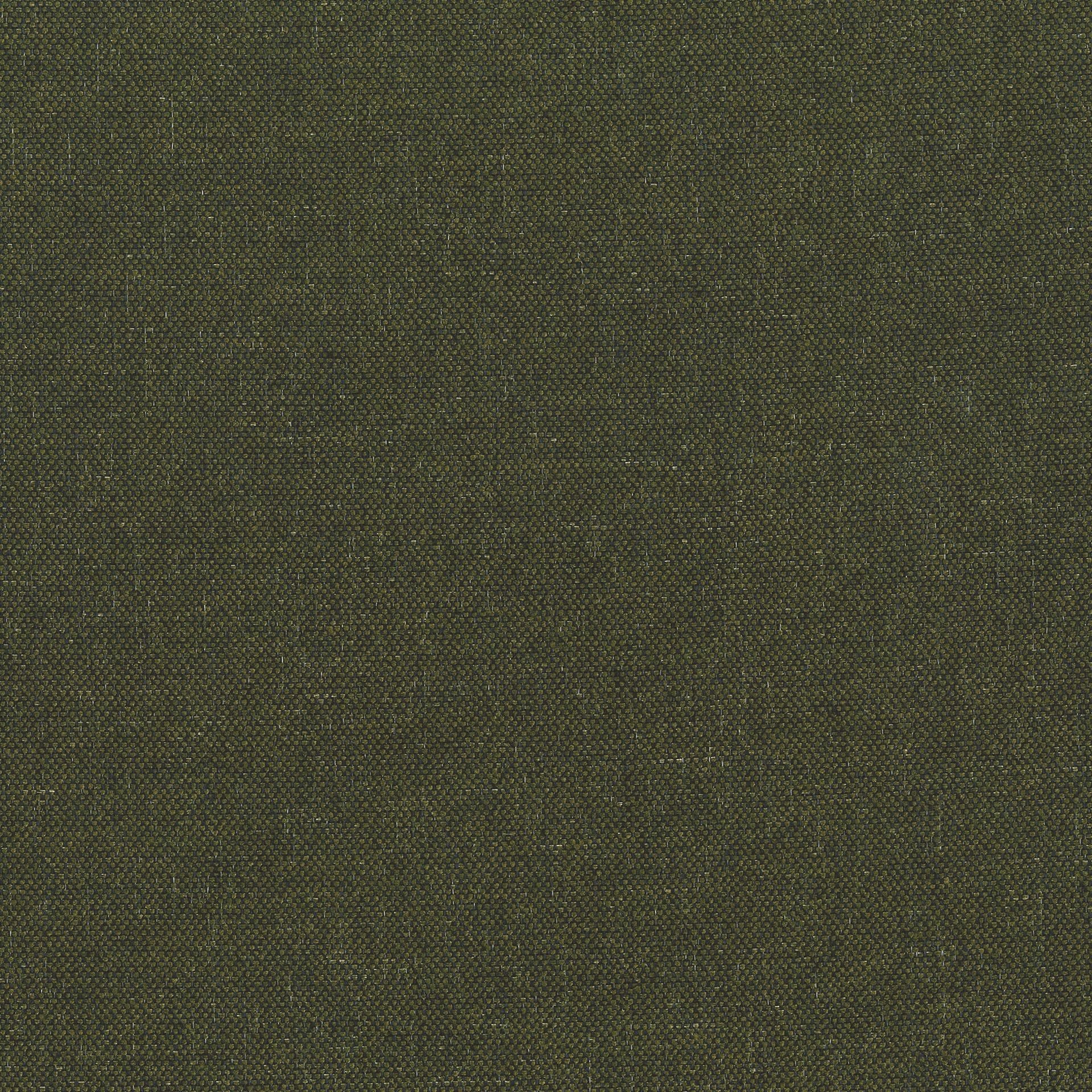 SCOTT COLLECTION