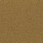 SCOTT COLLECTION