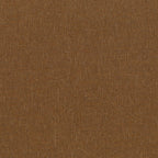 SCOTT COLLECTION