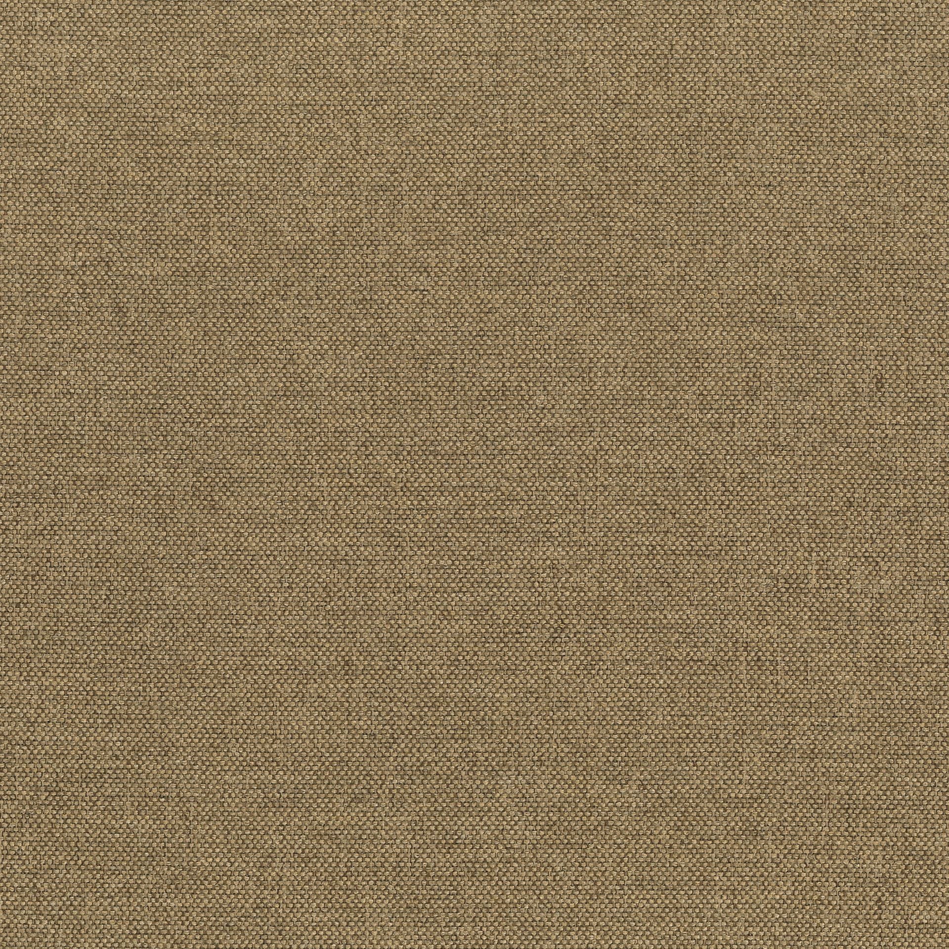 SCOTT COLLECTION