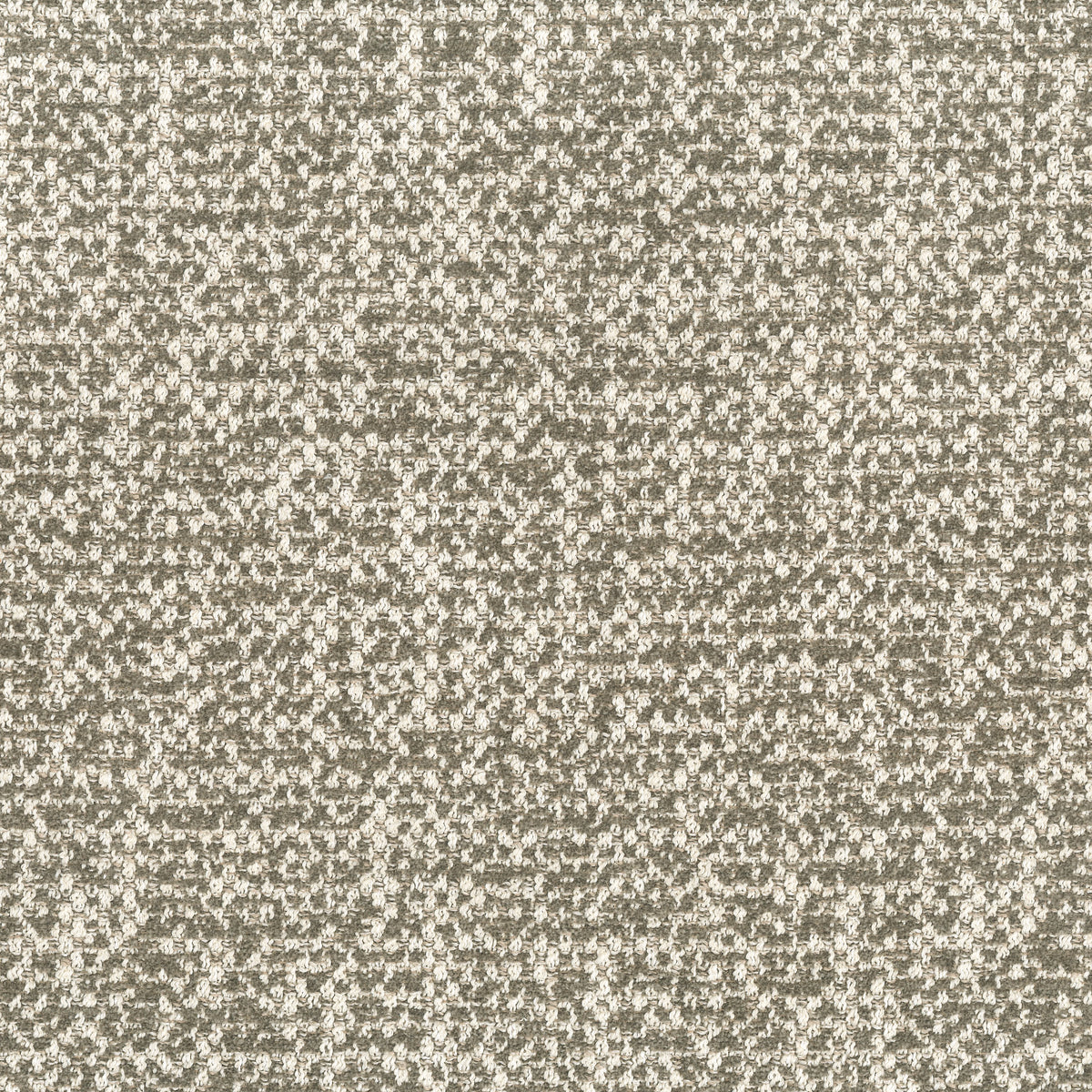 SALERNO COLLECTION