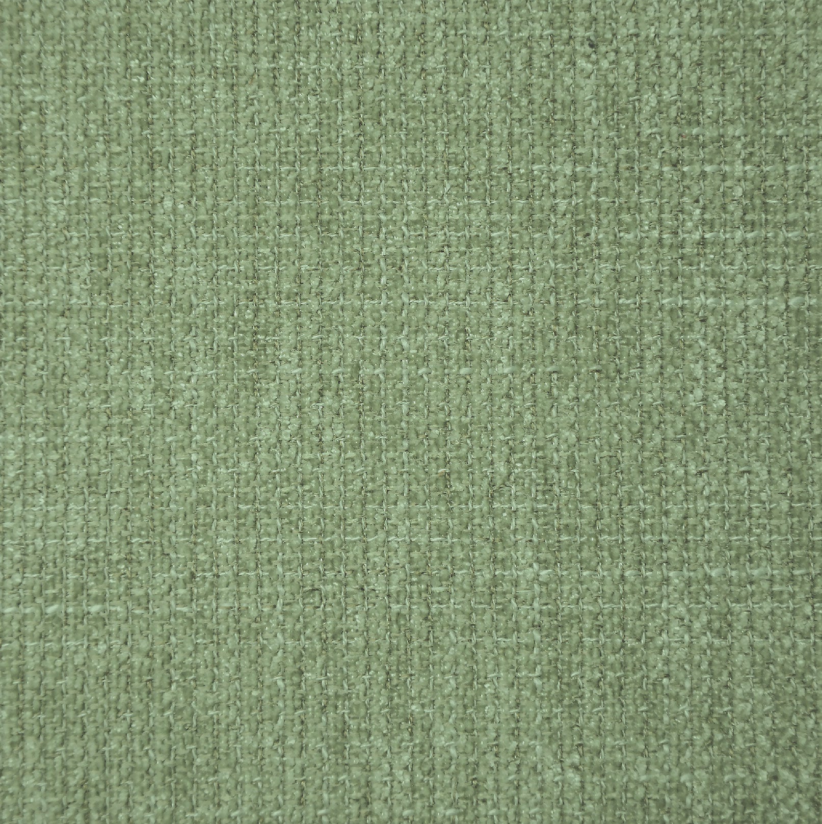 TRIBU GREEN