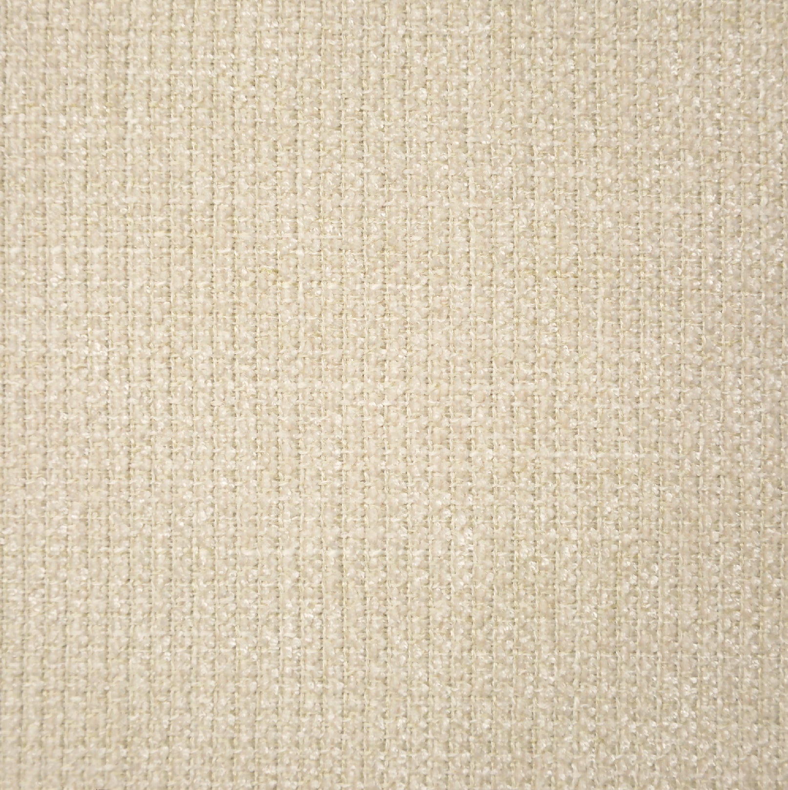 TRIBU IVORY