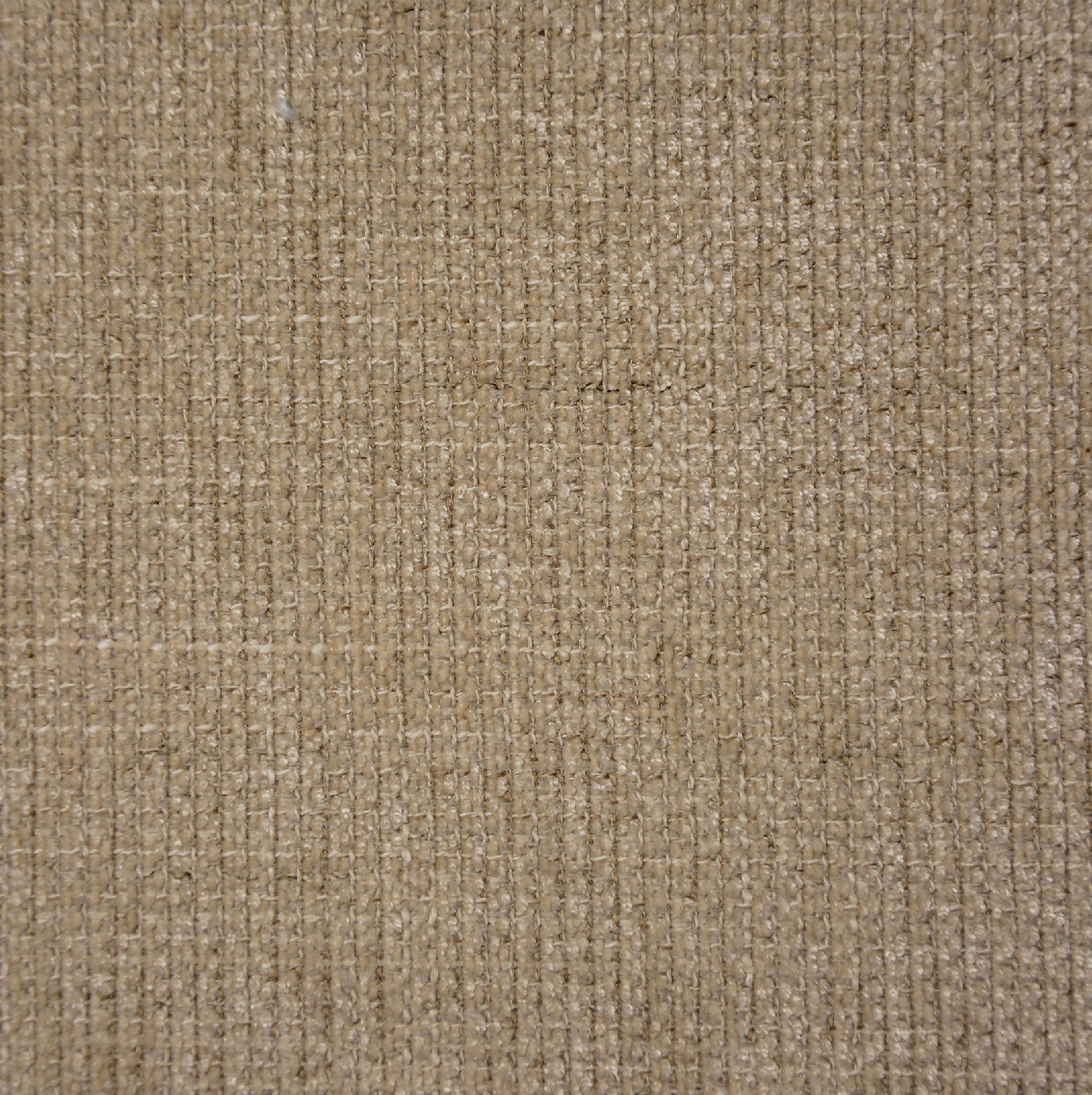 TRIBU MUD