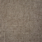 TRIBU TAUPE
