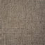 TRIBU TAUPE