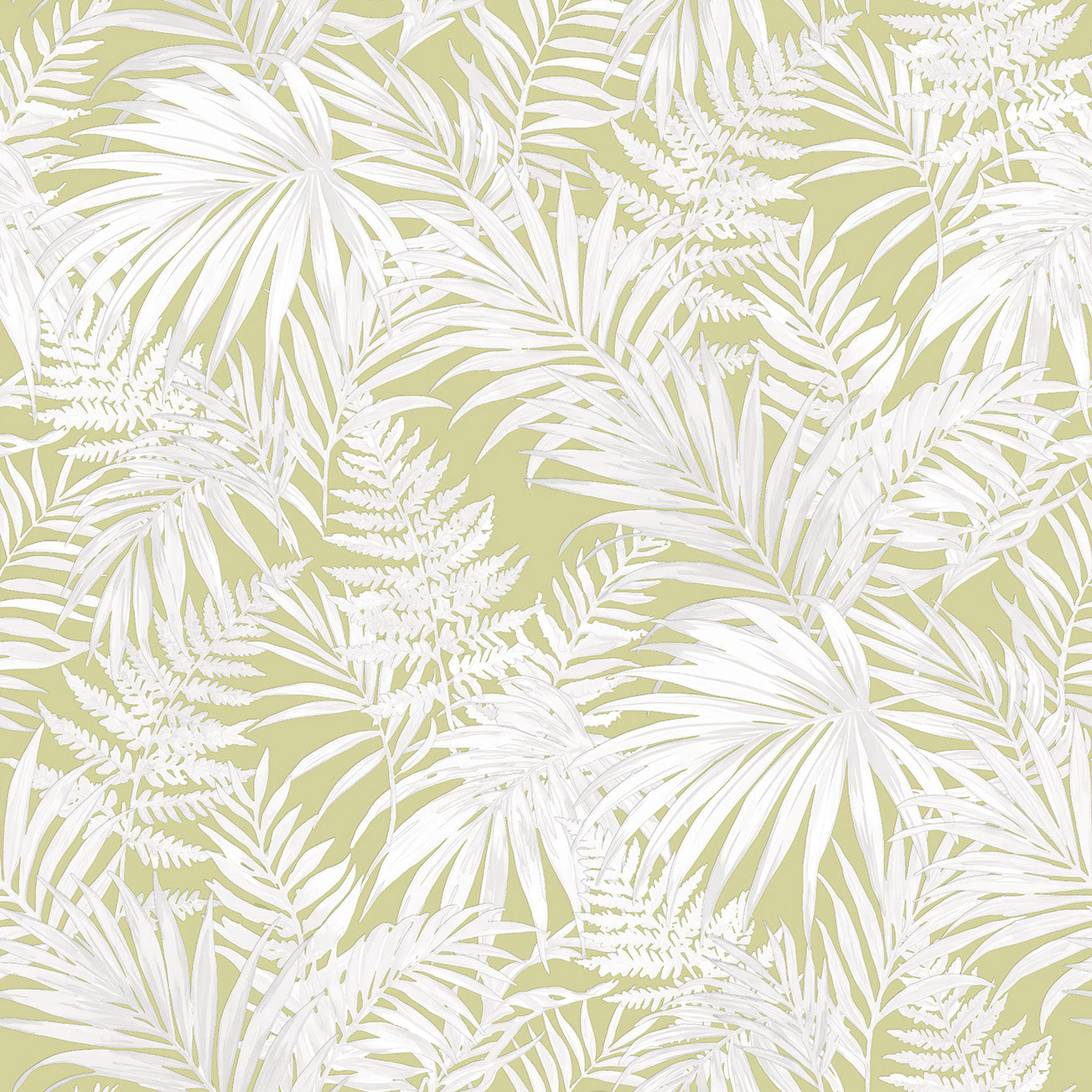 TROPICALIA COLLECTION