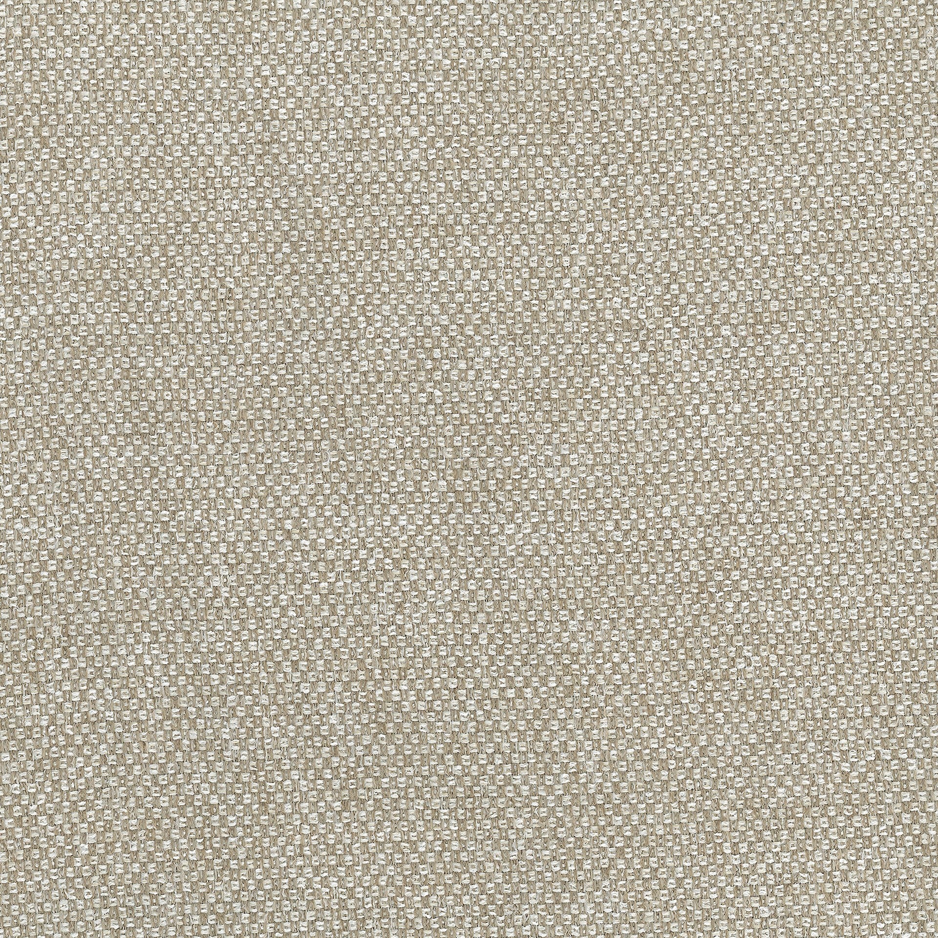 Champagne Main image